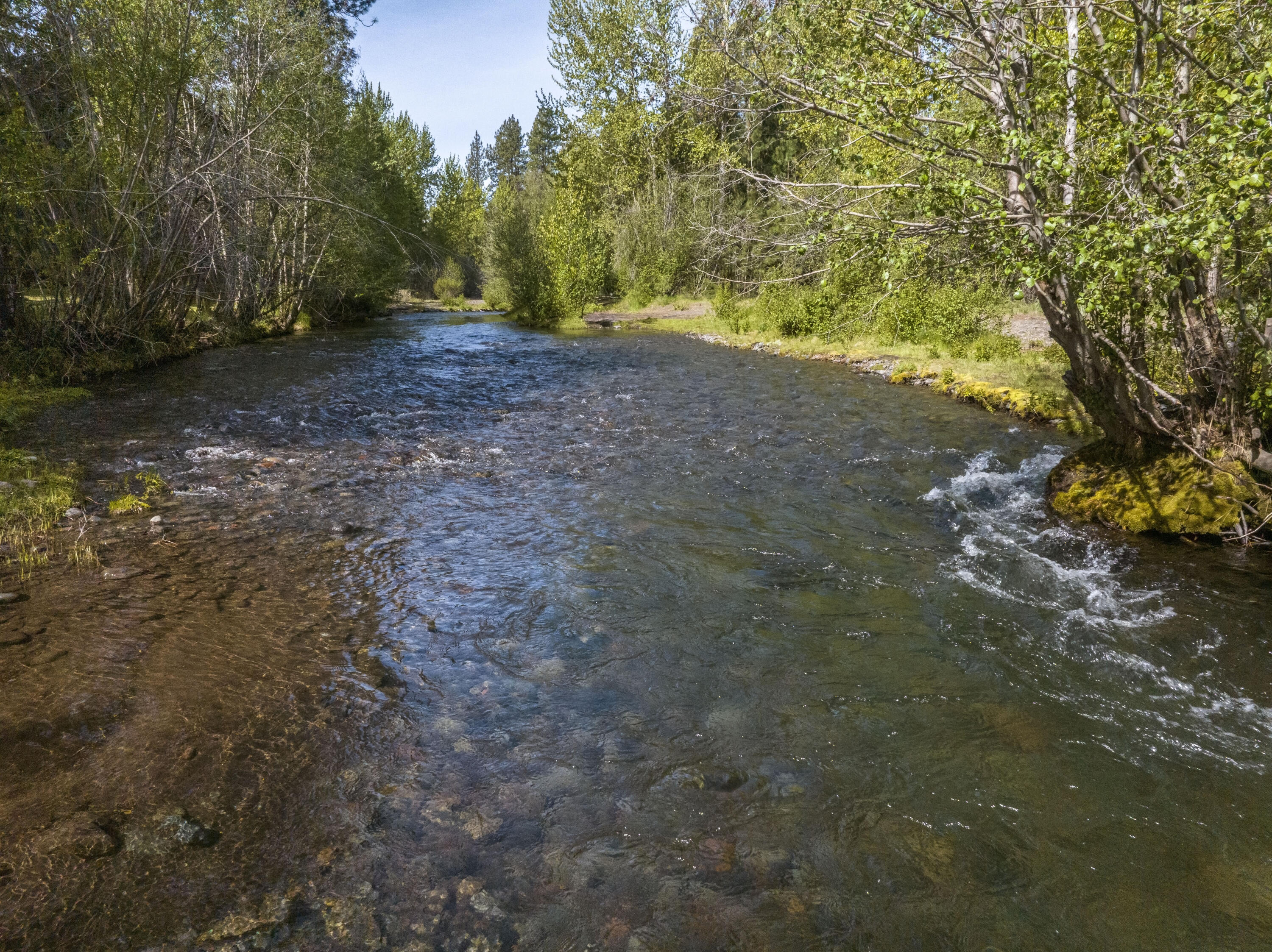 Timber Creek - Residential