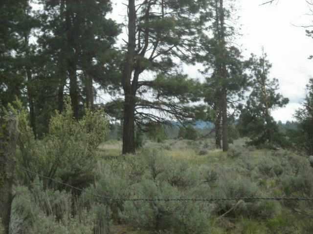 Sprague River - Land