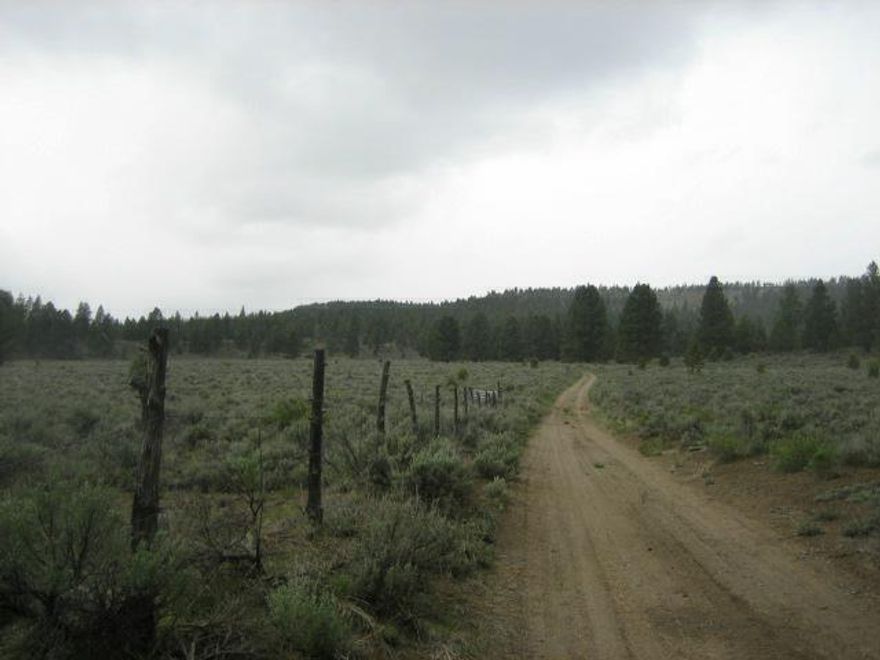 Privacy And Seclusion Can Be Yours At An Affordable Price. Remote Parcel Ideal For A Summer Cabin. Pictures Are Of The Area, Approx. 1/2 Mile From Property. Culvert Is Washed Out, Be Prepared To Walk About 1/2 Mile. Please P/U Map & Directions @ Off