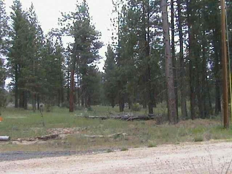Approximately 4.6 Acres In The Pines, In The Bonanza Area.