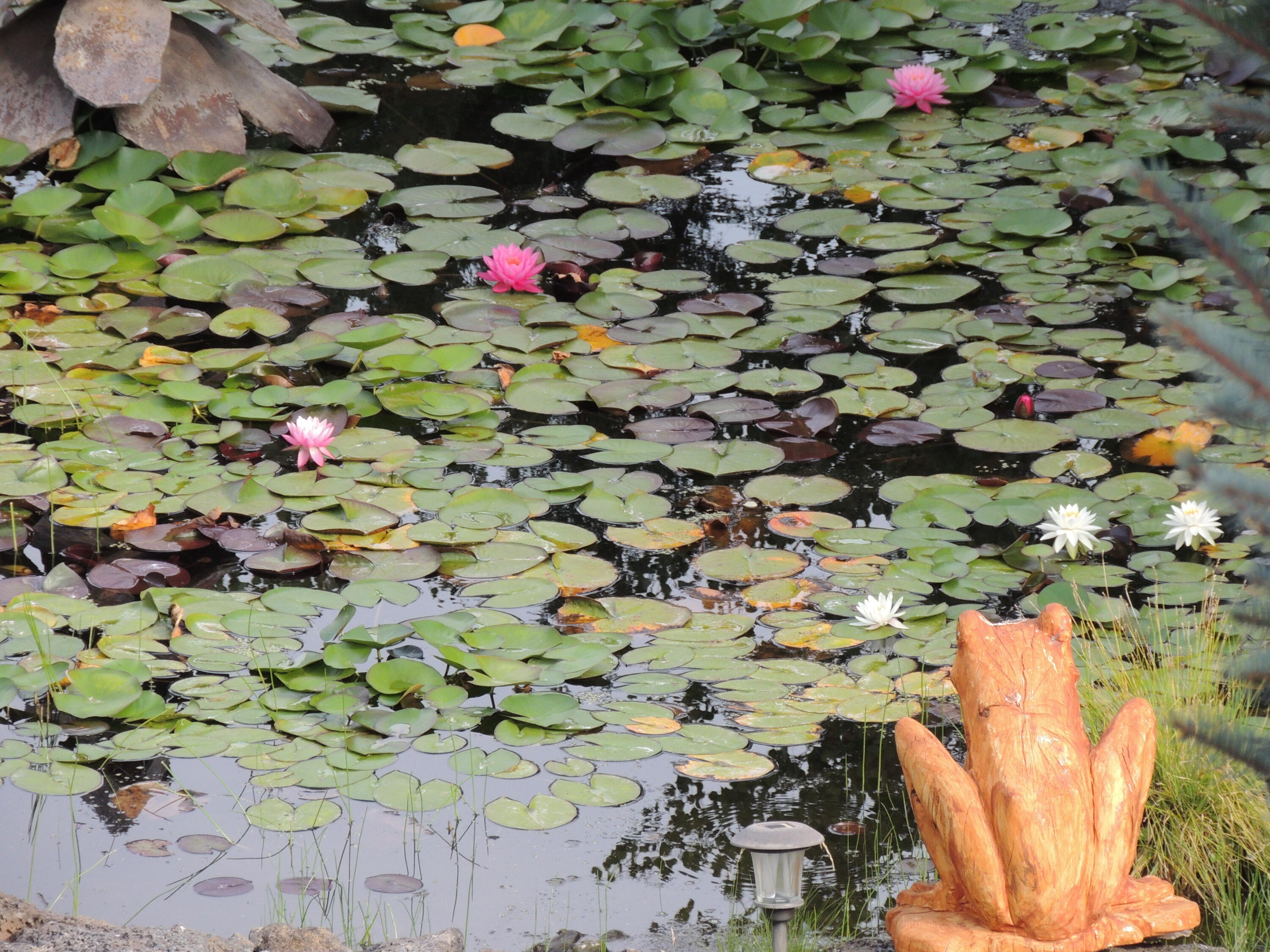 Boonesborough - Residential