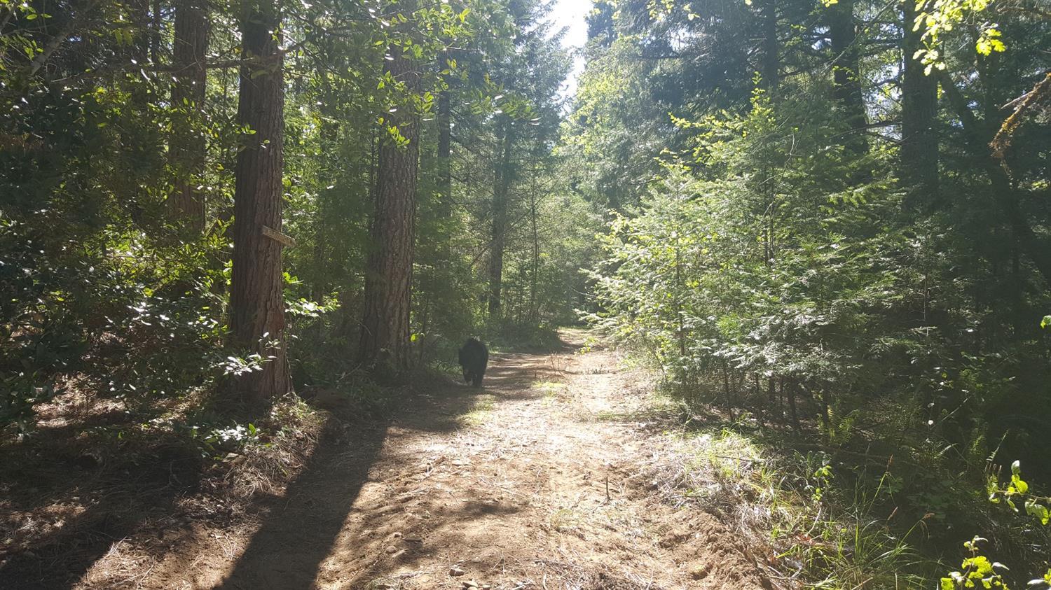 Udee Subdivision - Land