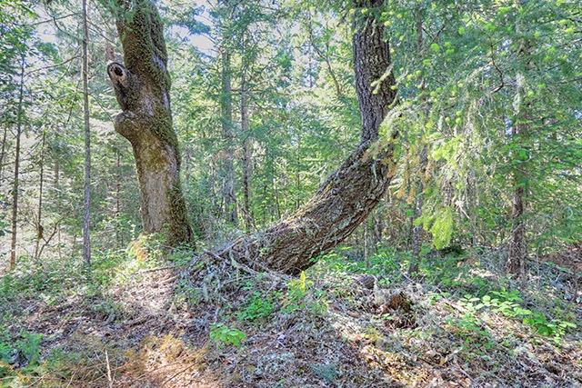 Udee Subdivision - Land