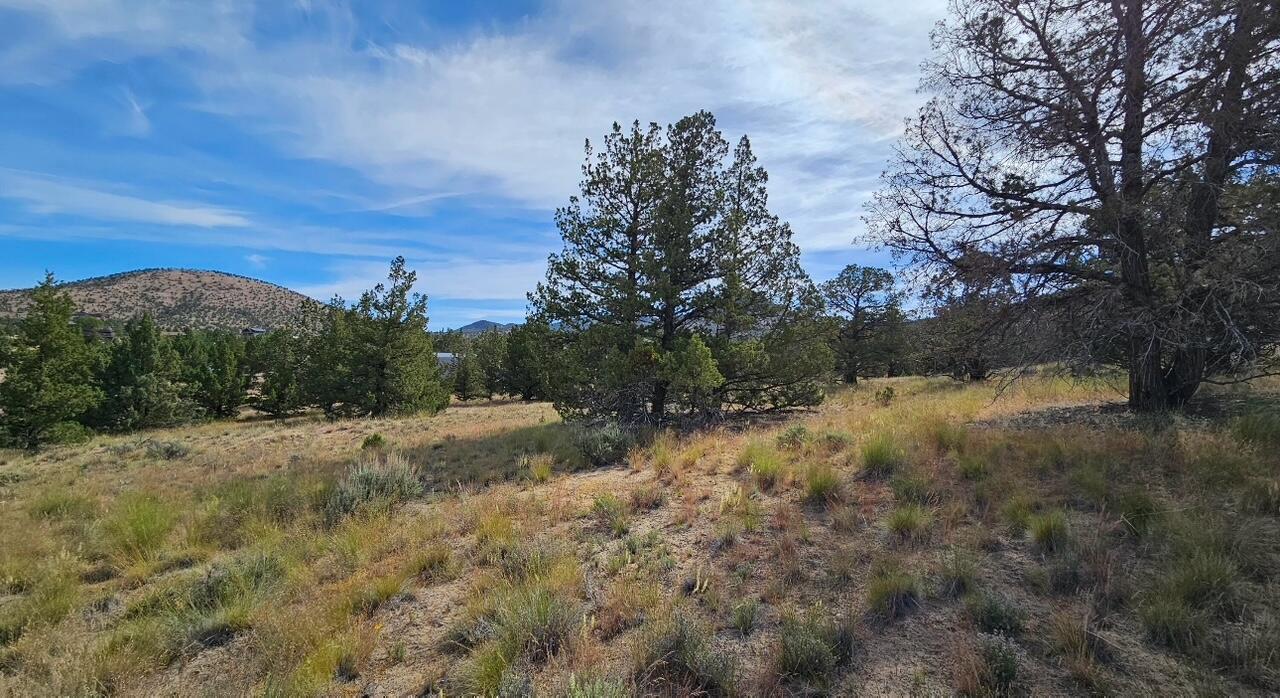 Powell Butte View - Residential