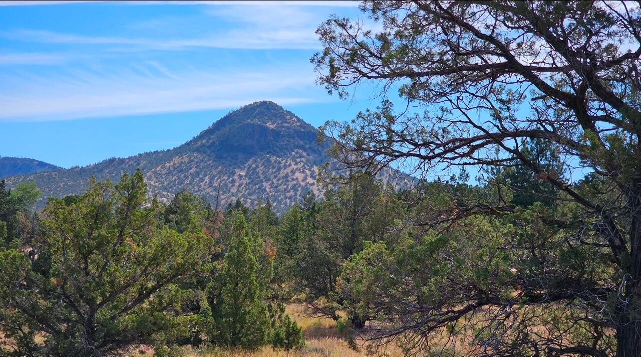 Powell Butte View - Residential