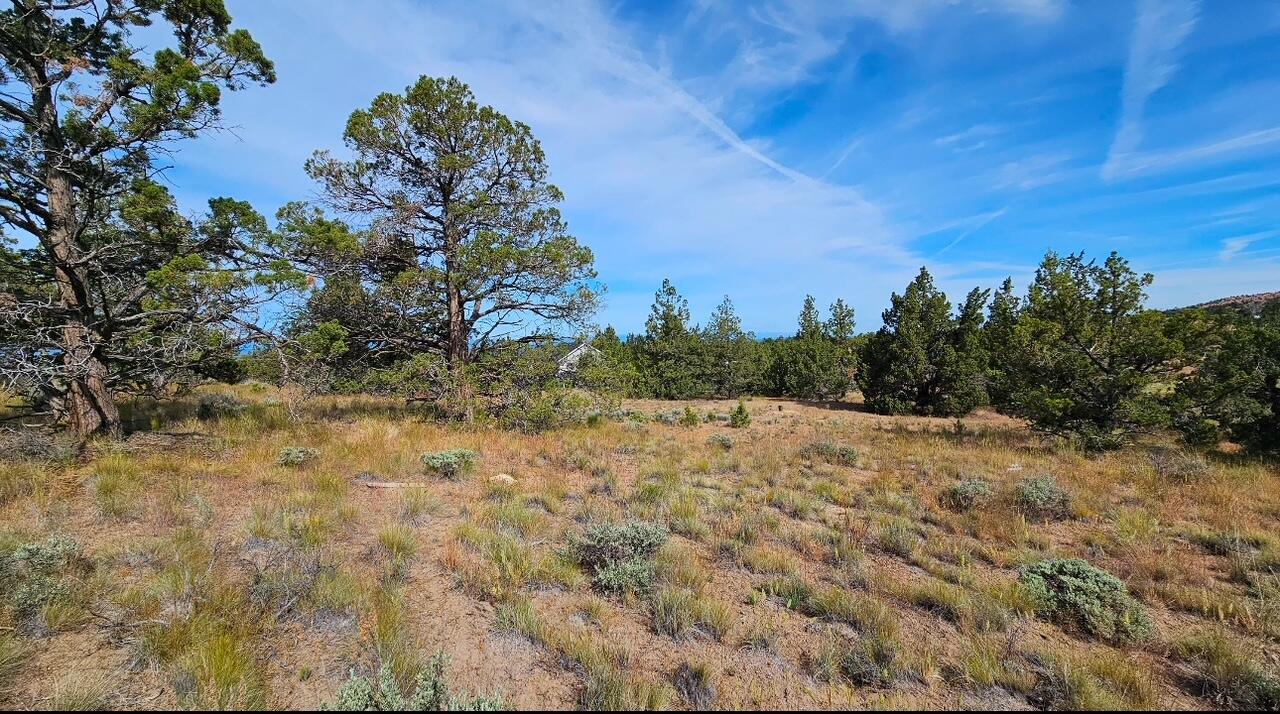 Powell Butte View - Residential