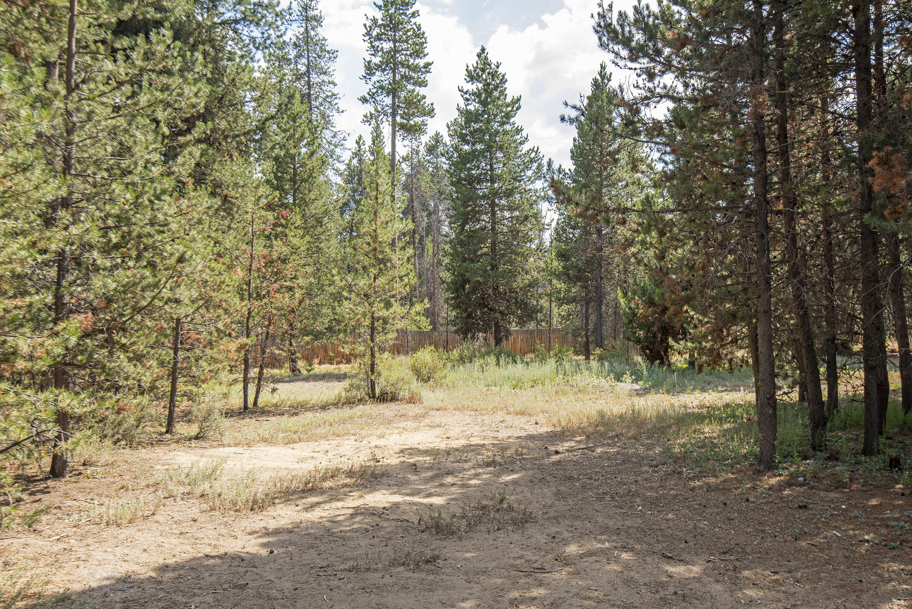 Tall Pines - Residential