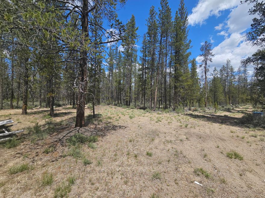 Large plot of land awaiting for your development! Marketable timber on property. Sellers made a dirt bike course on property. Come see today