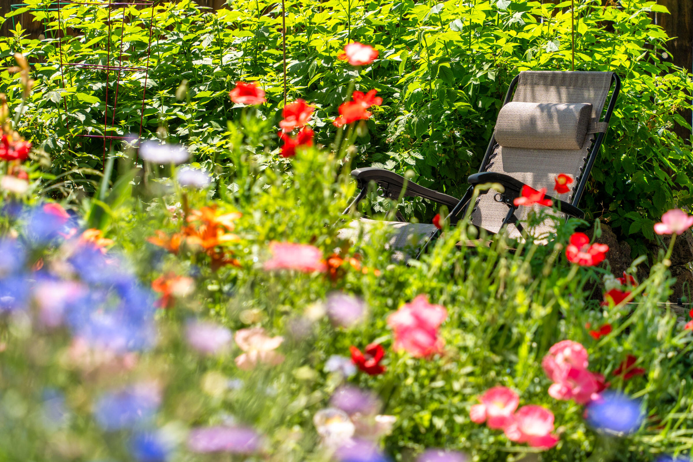 15851 SW Tadpole Court