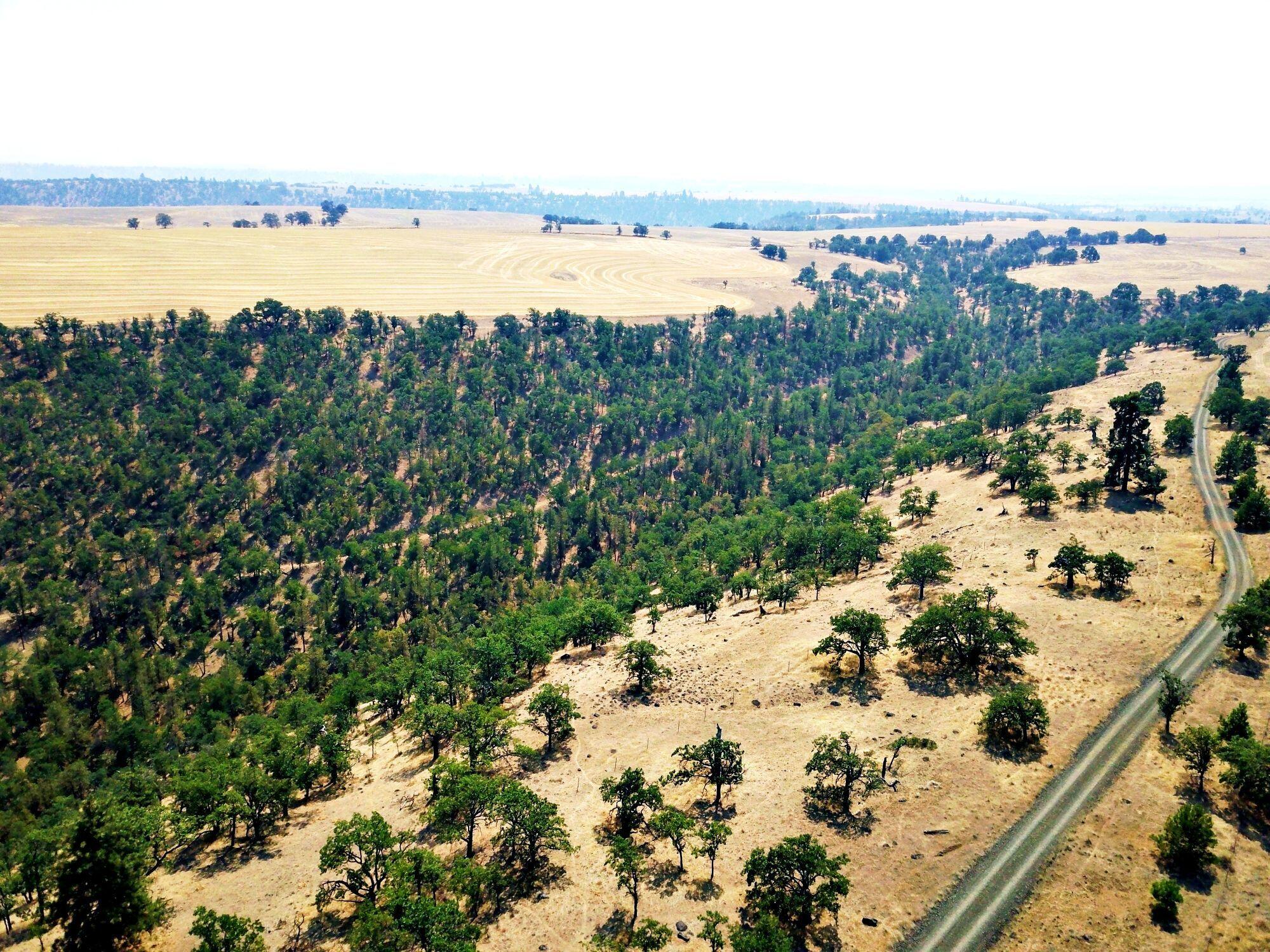 Dalles City, Original - Farm