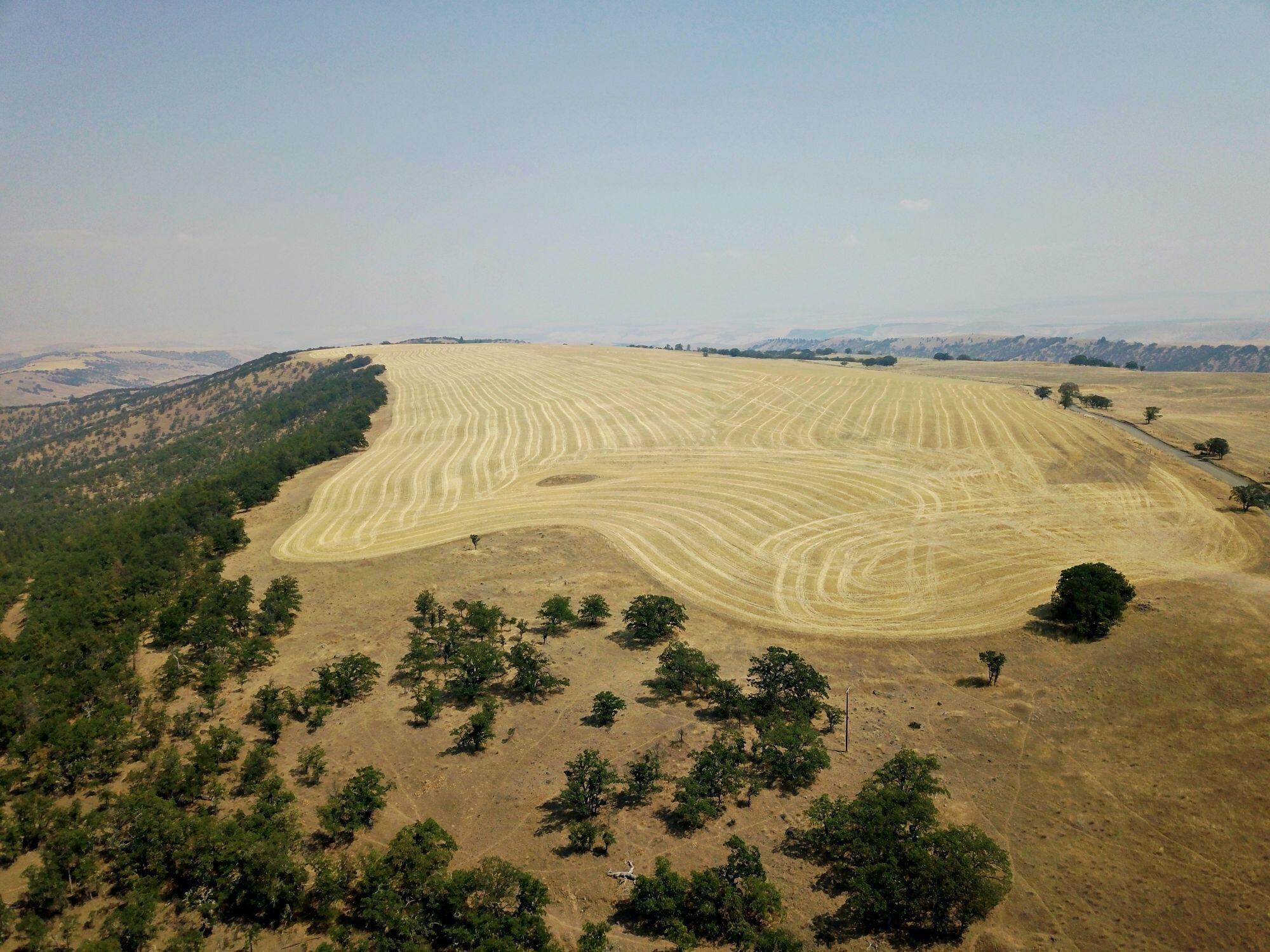 Dalles City, Original - Farm