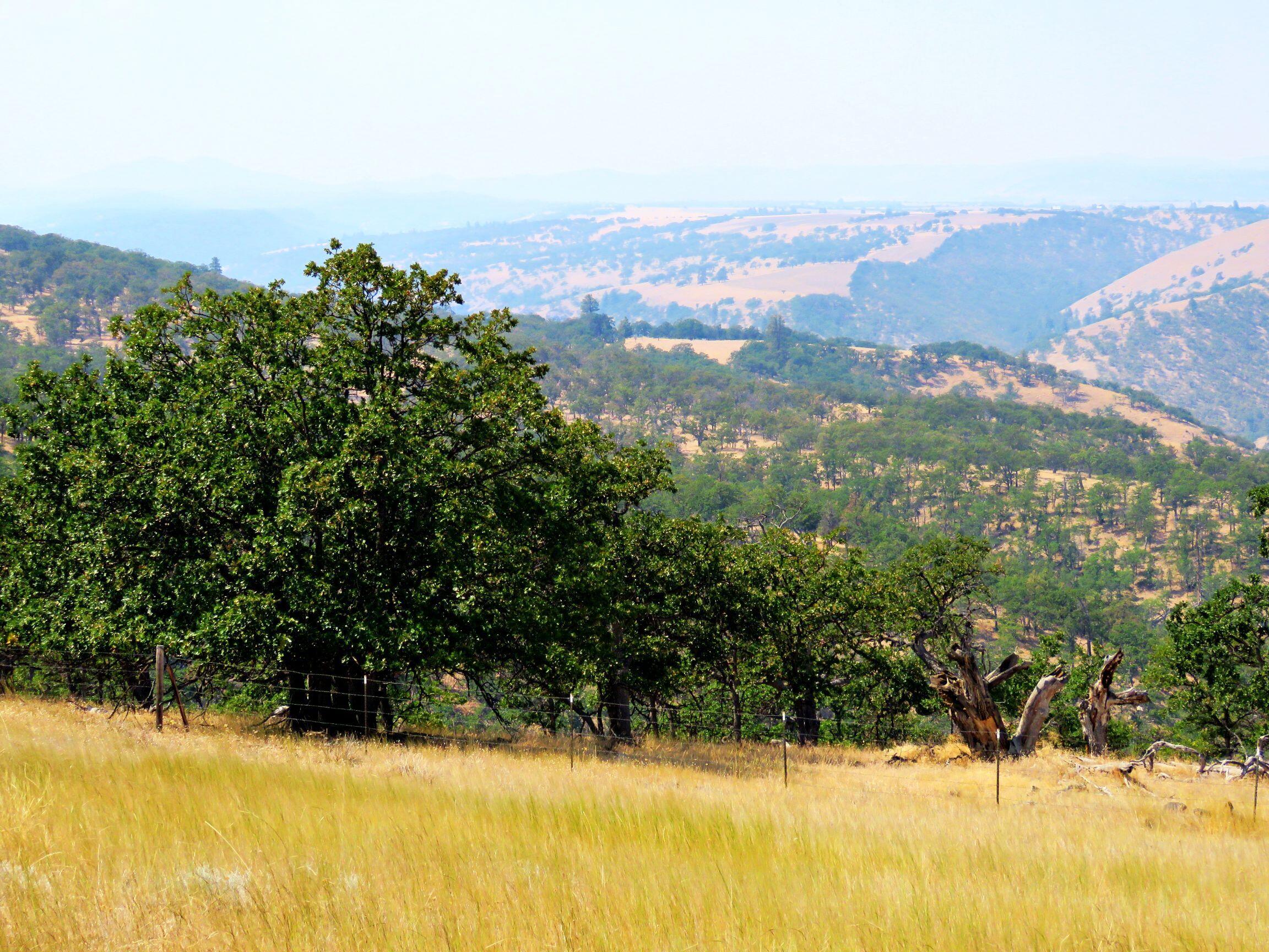 Dalles City, Original - Farm