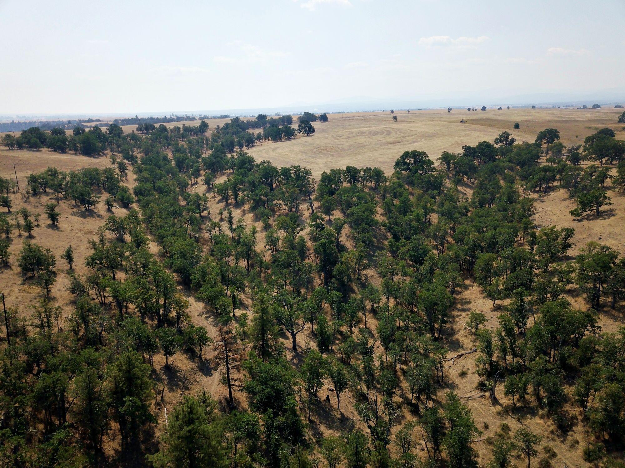 Dalles City, Original - Farm