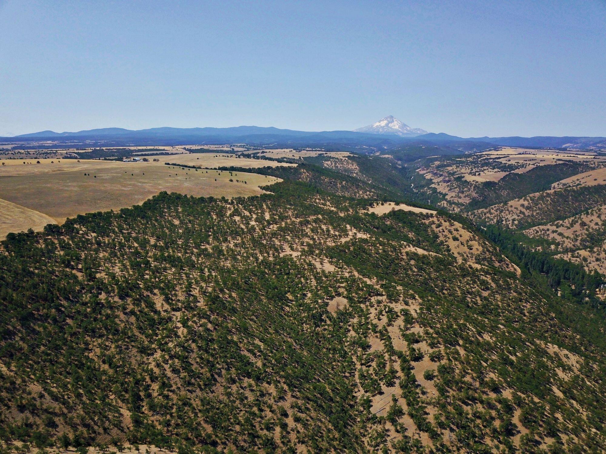 Dalles City, Original - Farm