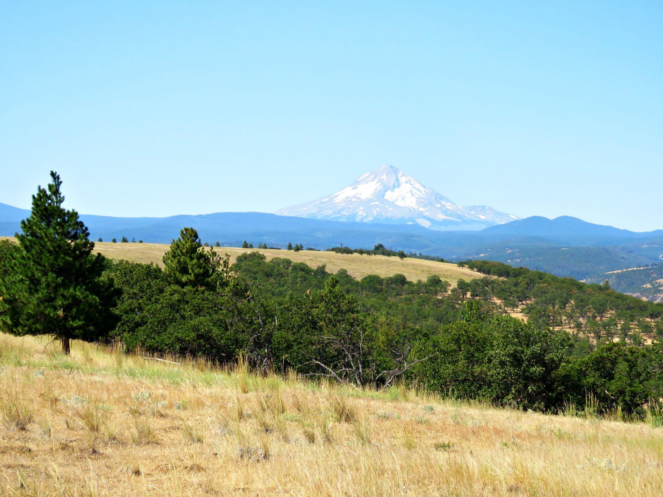 Dalles City, Original - Farm