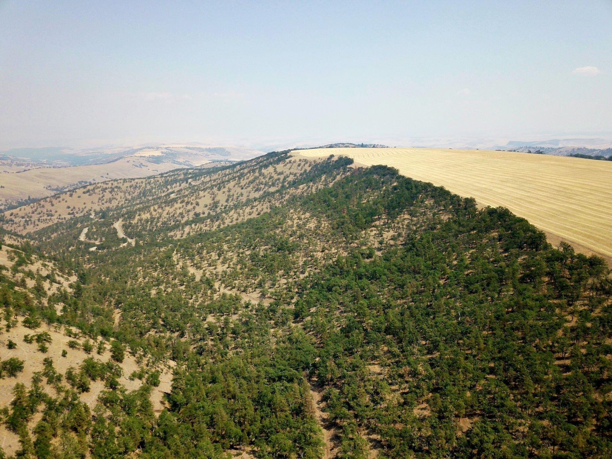 Dalles City, Original - Farm