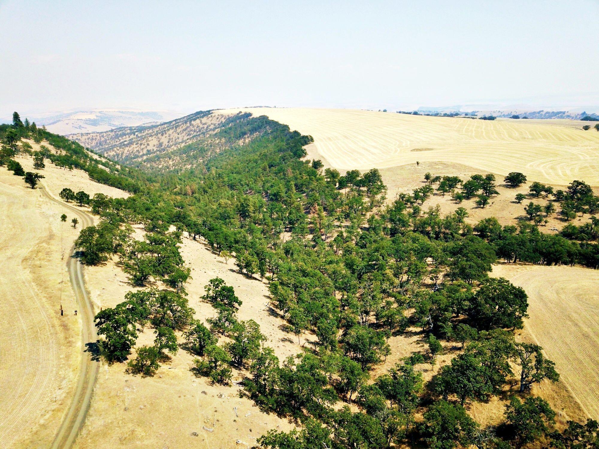 Dalles City, Original - Farm