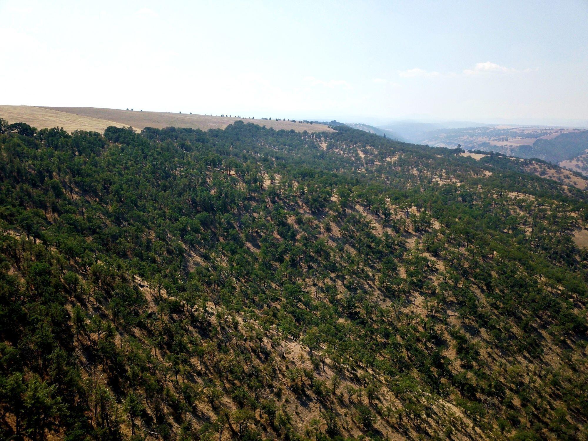 Dalles City, Original - Farm