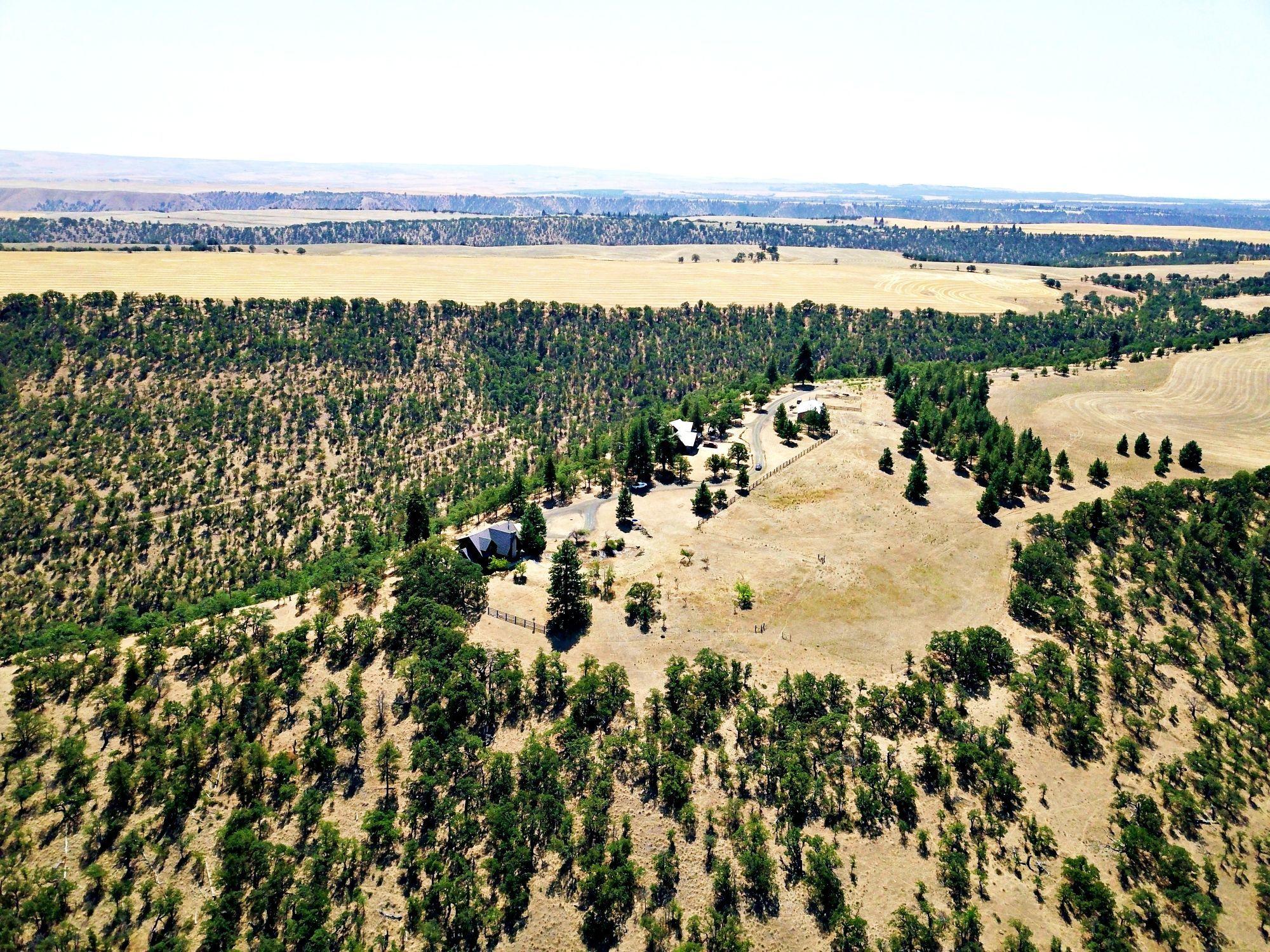 Dalles City, Original - Farm