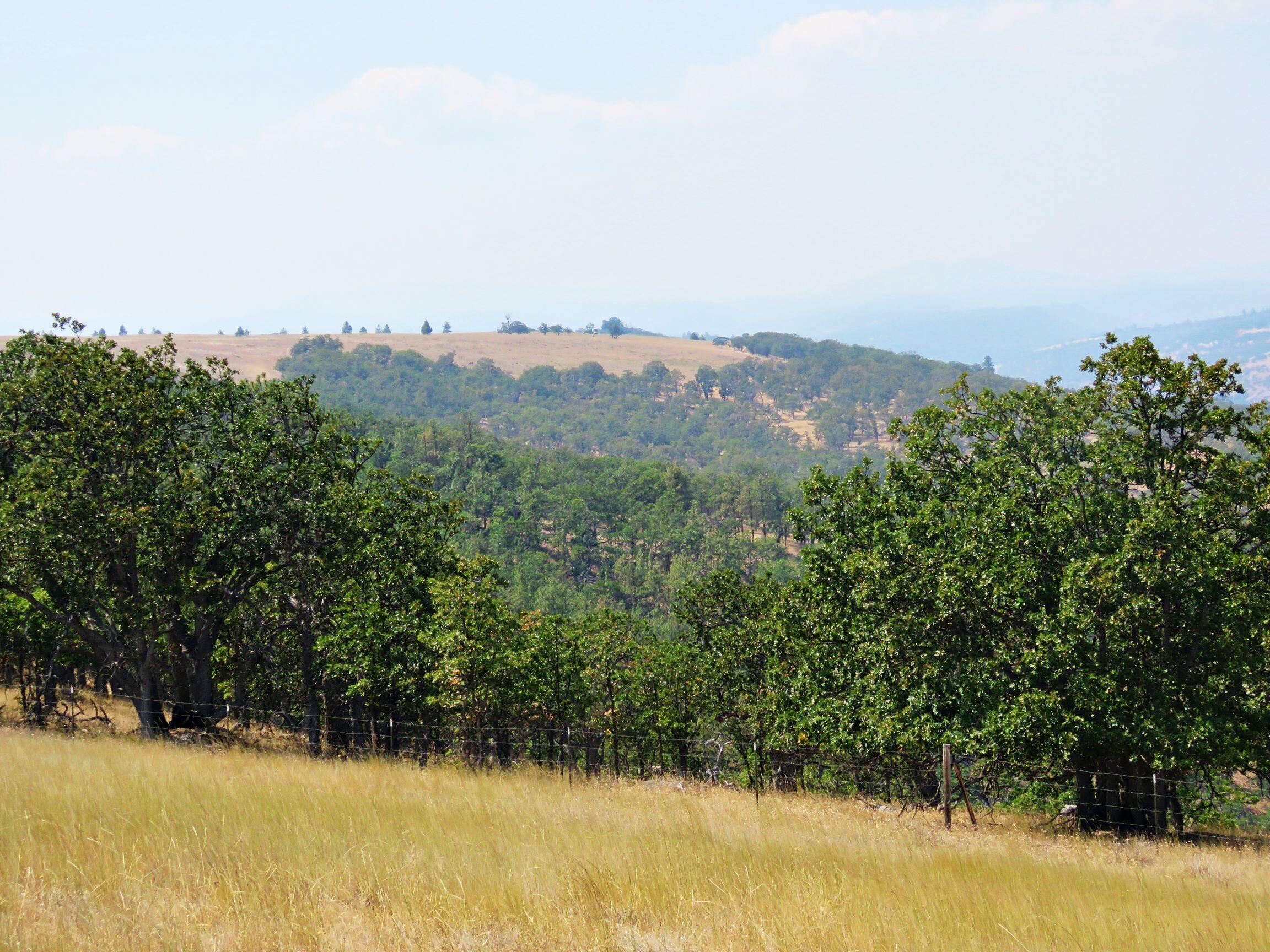 Dalles City, Original - Farm