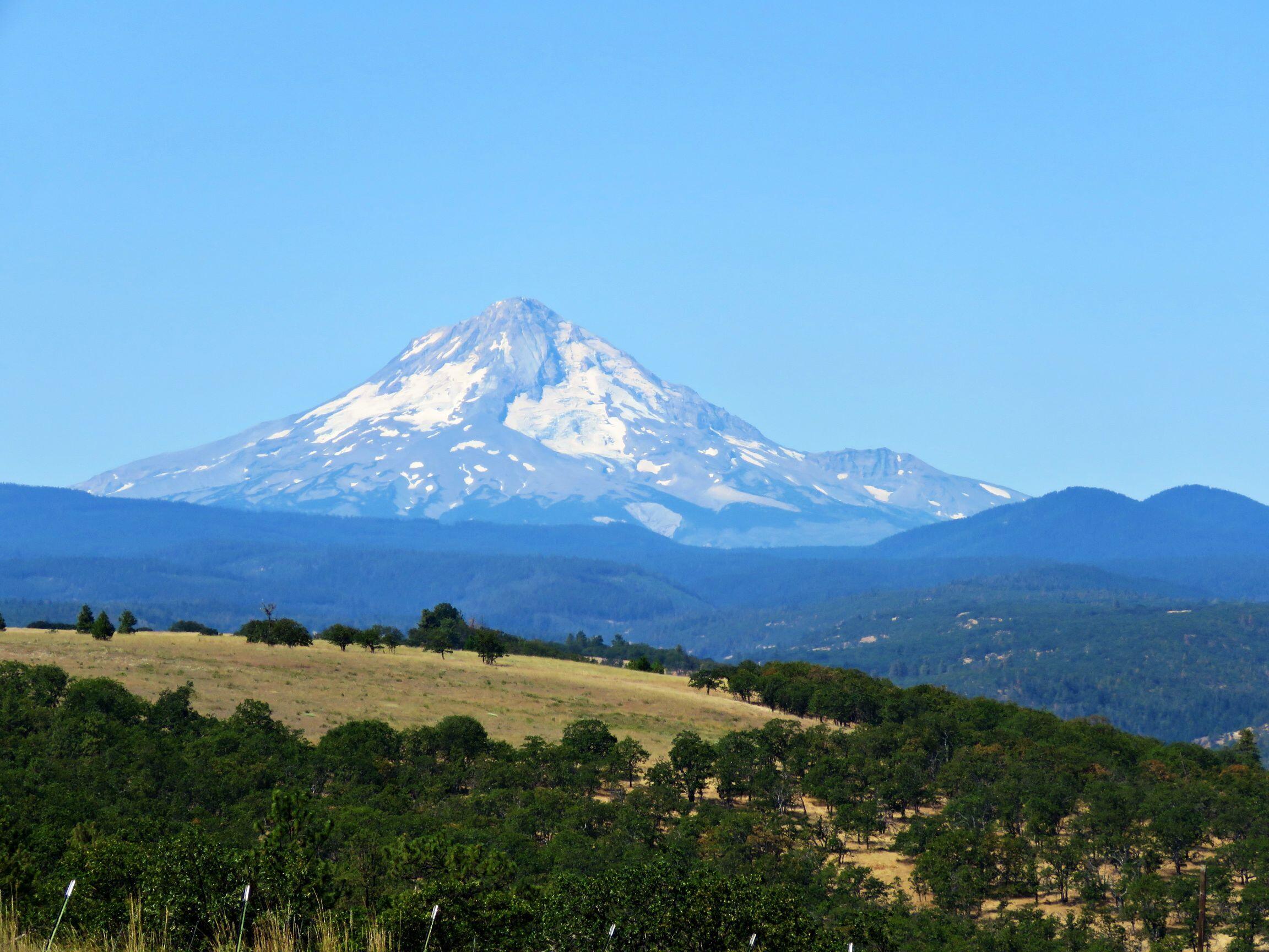 Dalles City, Original - Farm