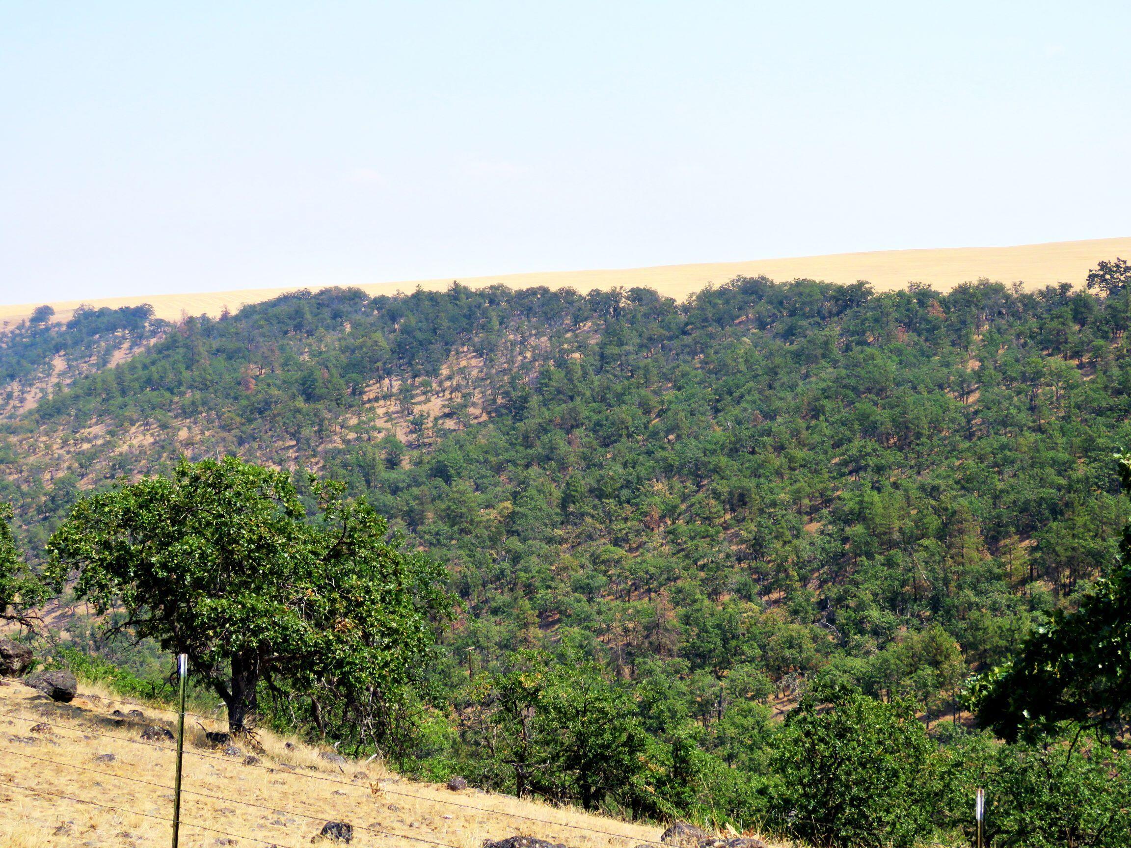 Dalles City, Original - Farm