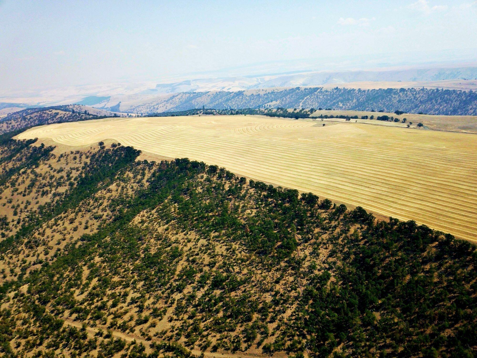 Dalles City, Original - Farm