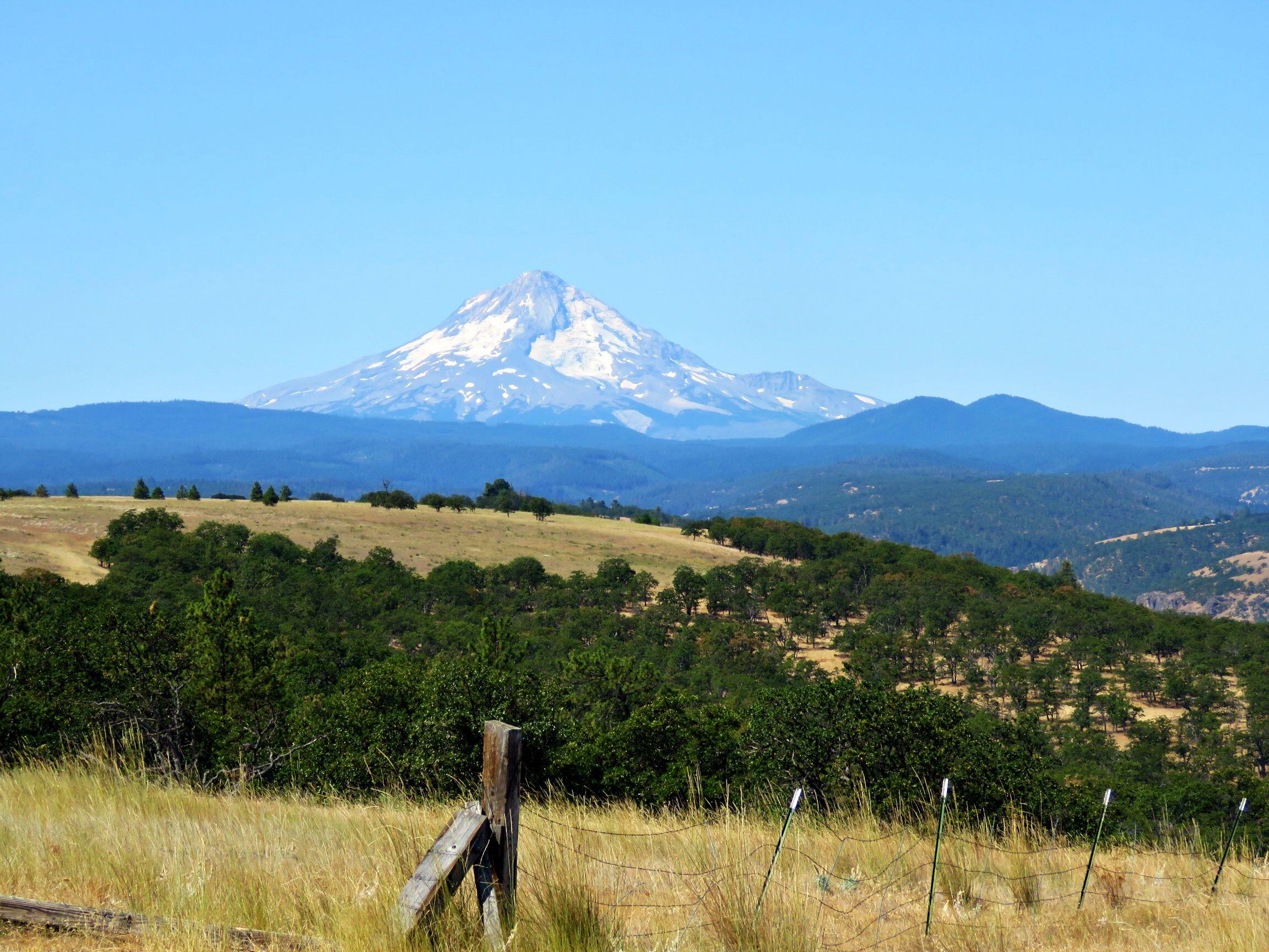 Dalles City, Original - Farm