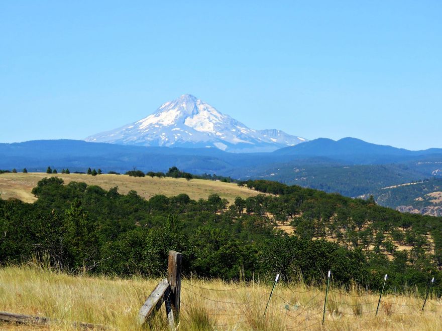 Welcome to Pleasant Ridge Ranch. Within close proximity to Portland and Central Oregon. The location of this property gives the owner ample opportunity to explore all that Oregon and the Pacific Northwest has to offer. This gorgeous +/-714 acre property is a combination of timbered canyons and draws to gently rolling tillable ground. The mix of Oak and Pine trees and native plants/grasses creates a wonderful habitat for wildlife. This property is home to Deer, Elk, Wild Turkey, Black Bear, Mountain Lion, Bobcat, and Upland Birds. 3 LOP tags for both Deer and Elk (Buyer to verify with ODFW). Improvements include 2 Log Homes and a Shop. The first Log Home consists of 2773 sq ft with 3 beds and 3 baths. The second Lodge style Log Home consists of 3302 sq ft with 3 beds and 1.5 baths. A 2400 sq ft shop with plenty of room for parking and storage. This is an ideal property for a family compound or someone looking to create a hunting club and/or rural retreat.