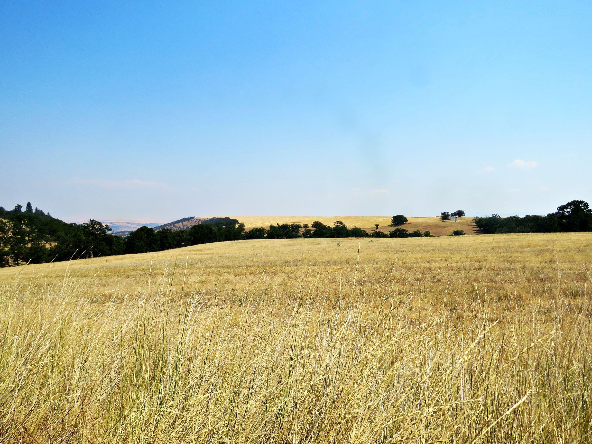 Dalles City, Original - Farm