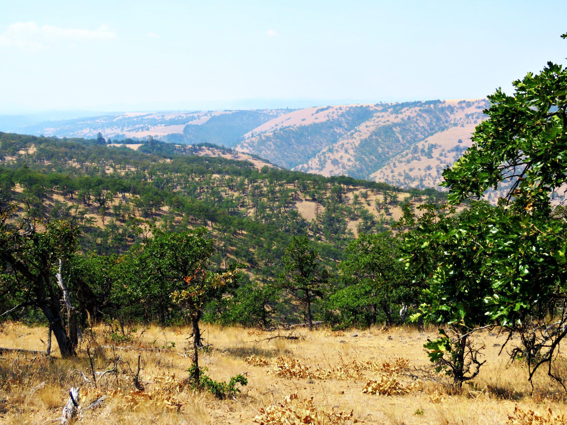 Dalles City, Original - Farm