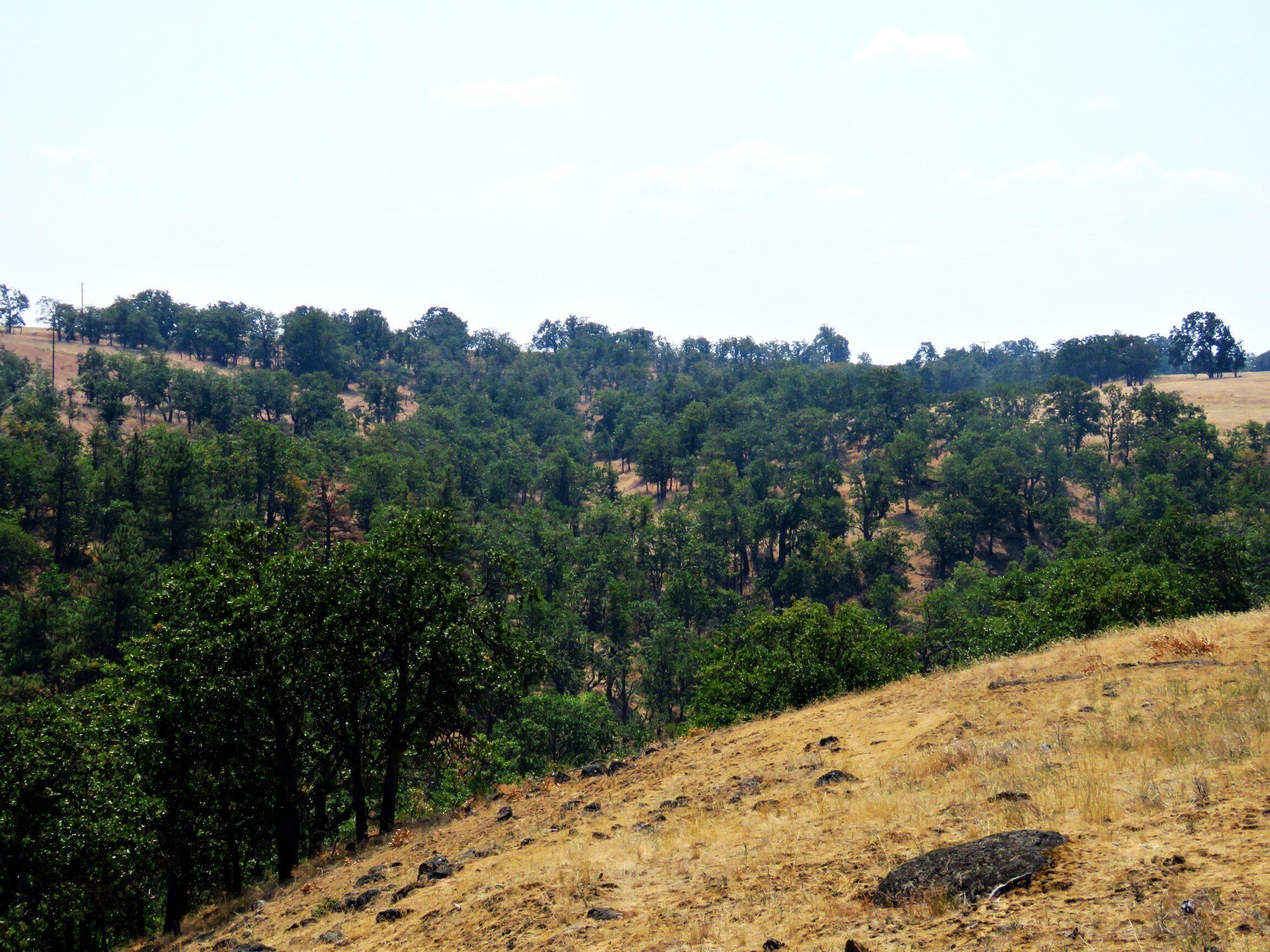 Dalles City, Original - Farm