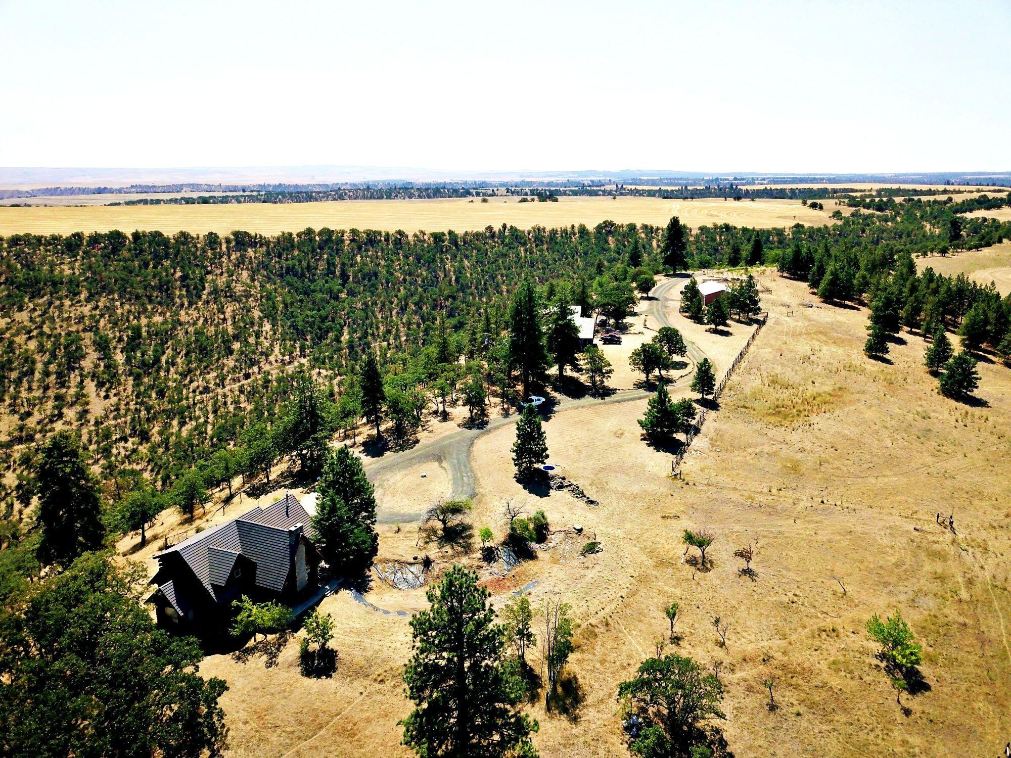 Dalles City, Original - Farm