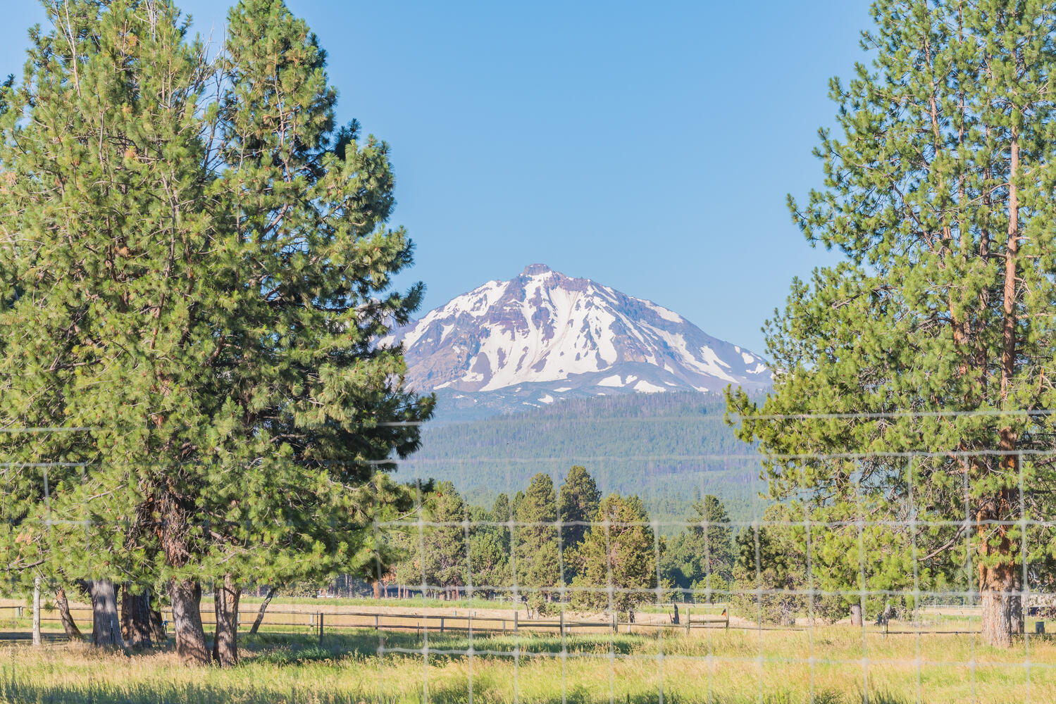 Pine Meadow Vill - Residential