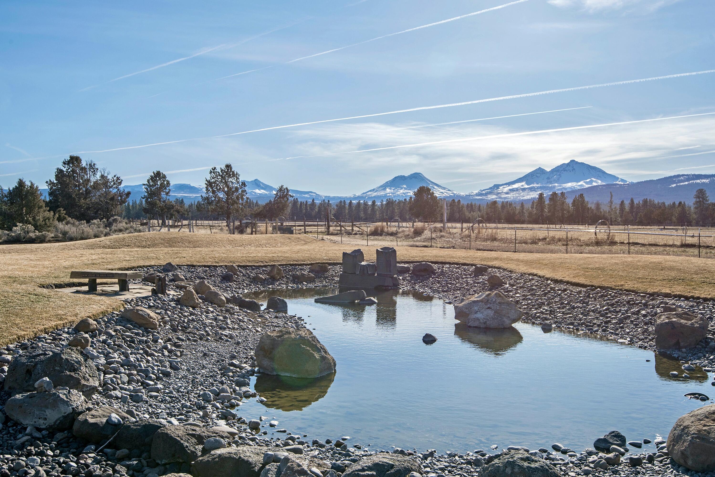 Pine Meadow Vill - Residential