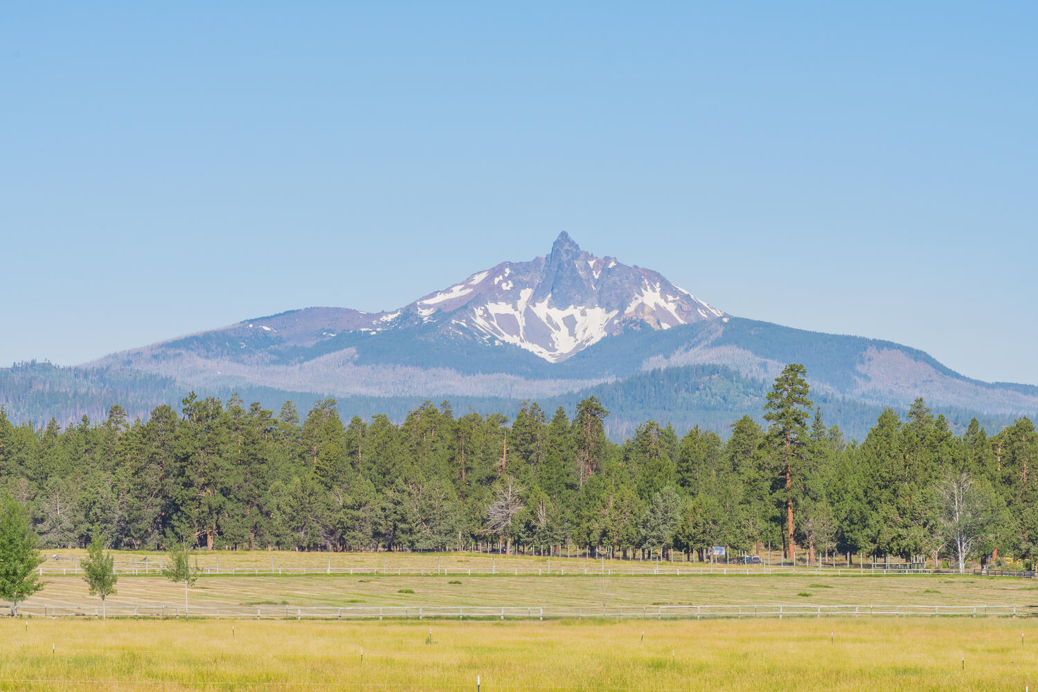 Pine Meadow Vill - Residential