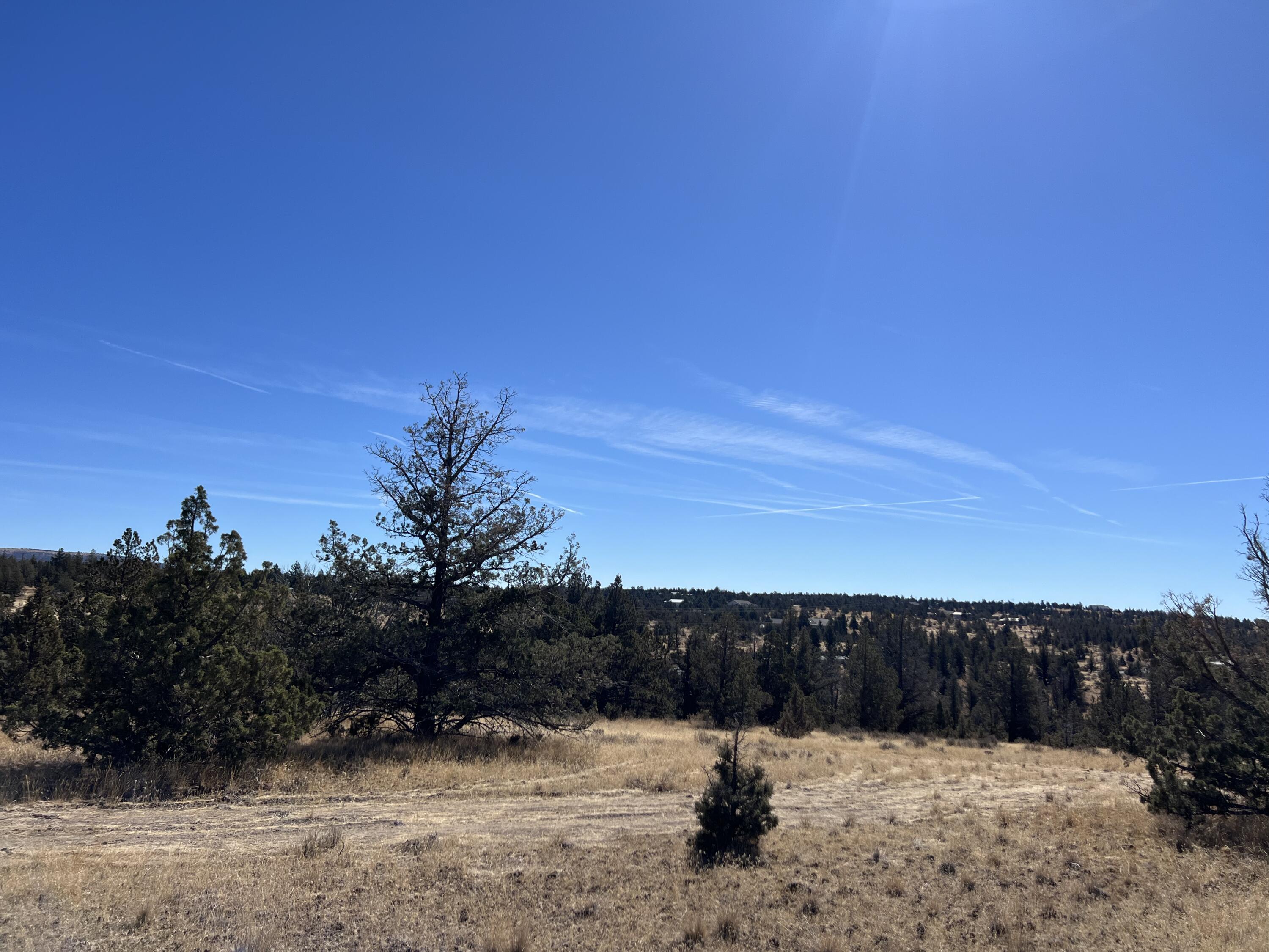 Longhorn Ridge - Land