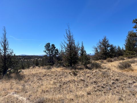 Tiny photo for 9777 SE Odessa Road, Prineville, OR 97754 (MLS # 220213255)