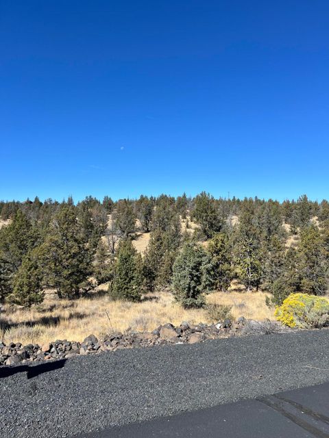 Tiny photo for 9777 SE Odessa Road, Prineville, OR 97754 (MLS # 220213255)