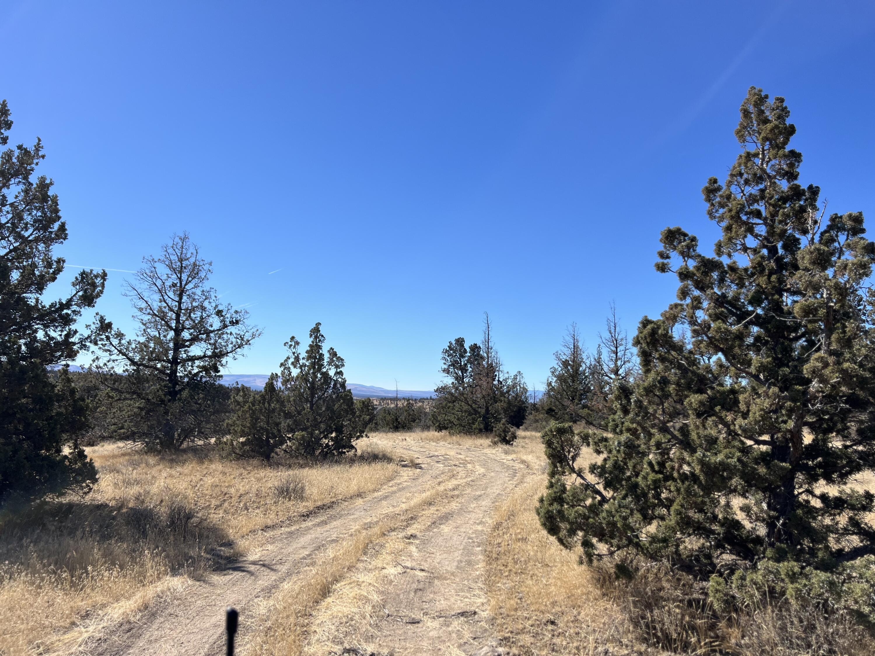 Longhorn Ridge - Land