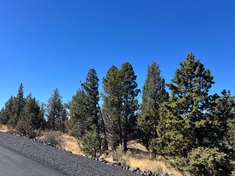 Tiny photo for 9777 SE Odessa Road, Prineville, OR 97754 (MLS # 220213255)