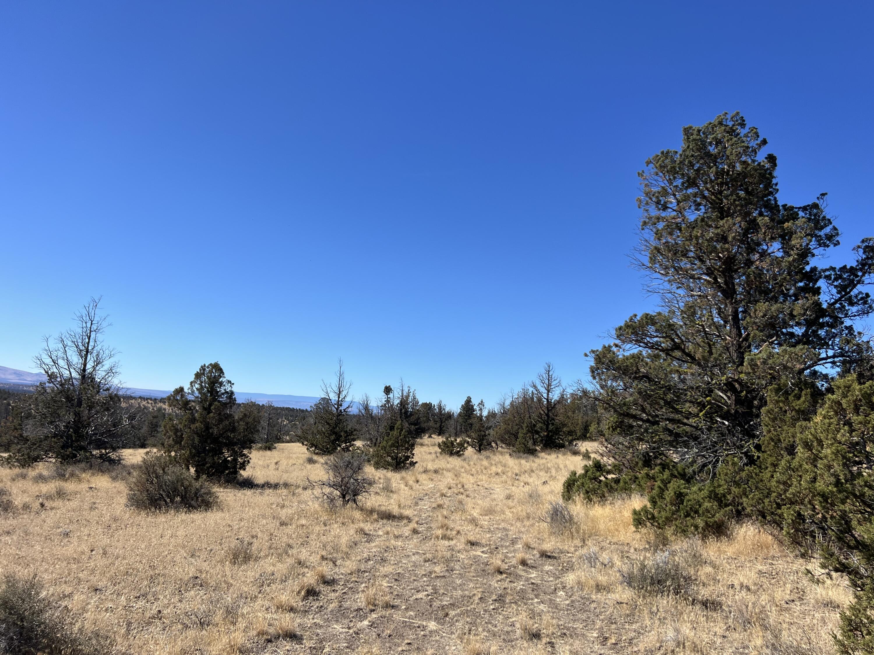 Longhorn Ridge - Land