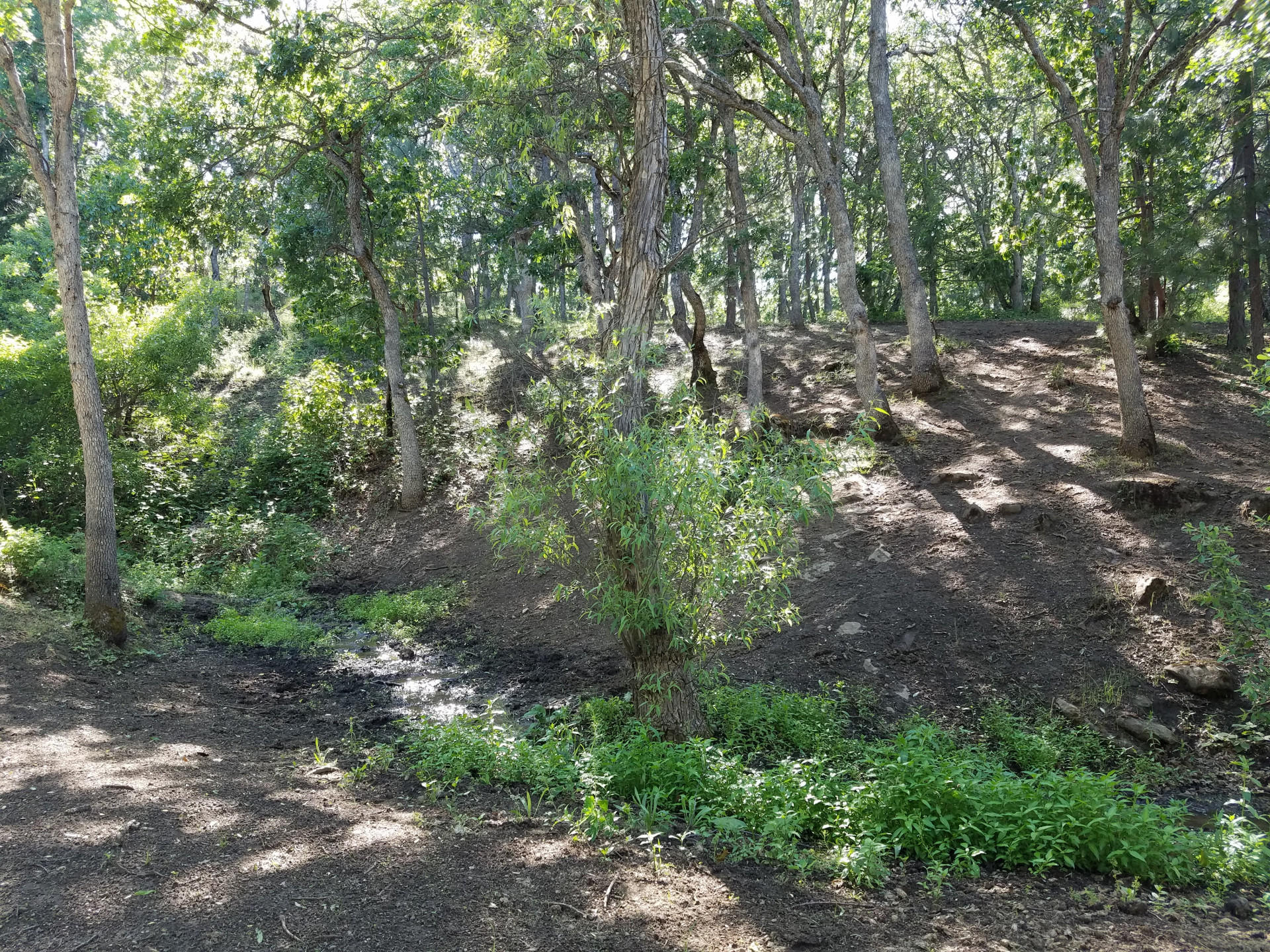 Sunny Oaks Subdivision - Residential