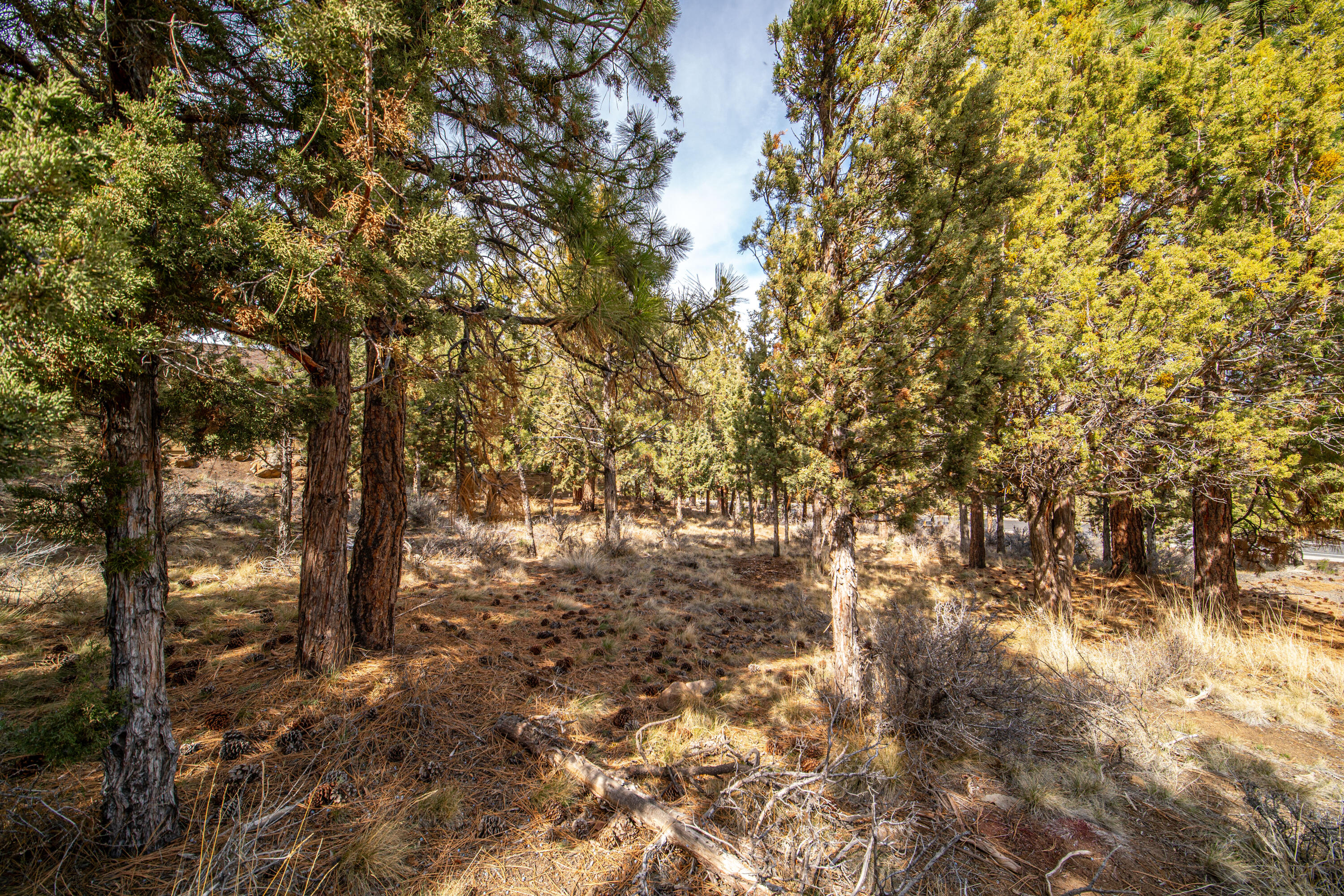 Awbrey Village - Land