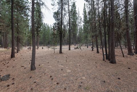 Tiny photo for 14731 Longleaf Pine Pne, La Pine, OR 97739 (MLS # 220215756)