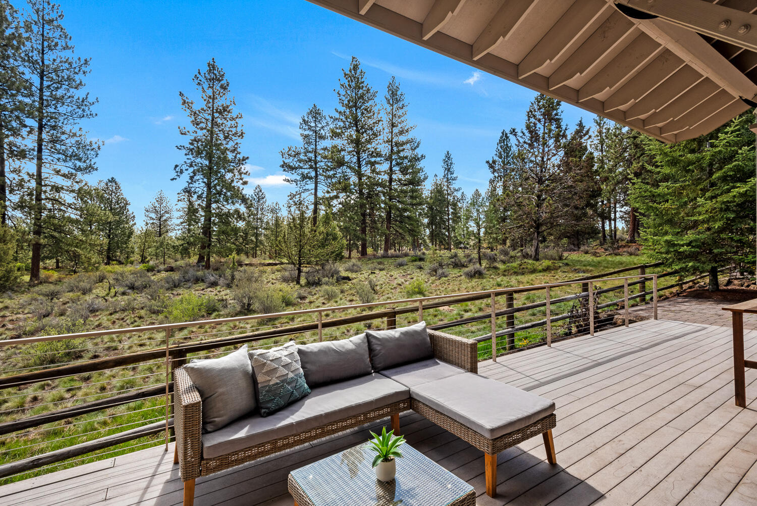 Mountain Pine - Residential