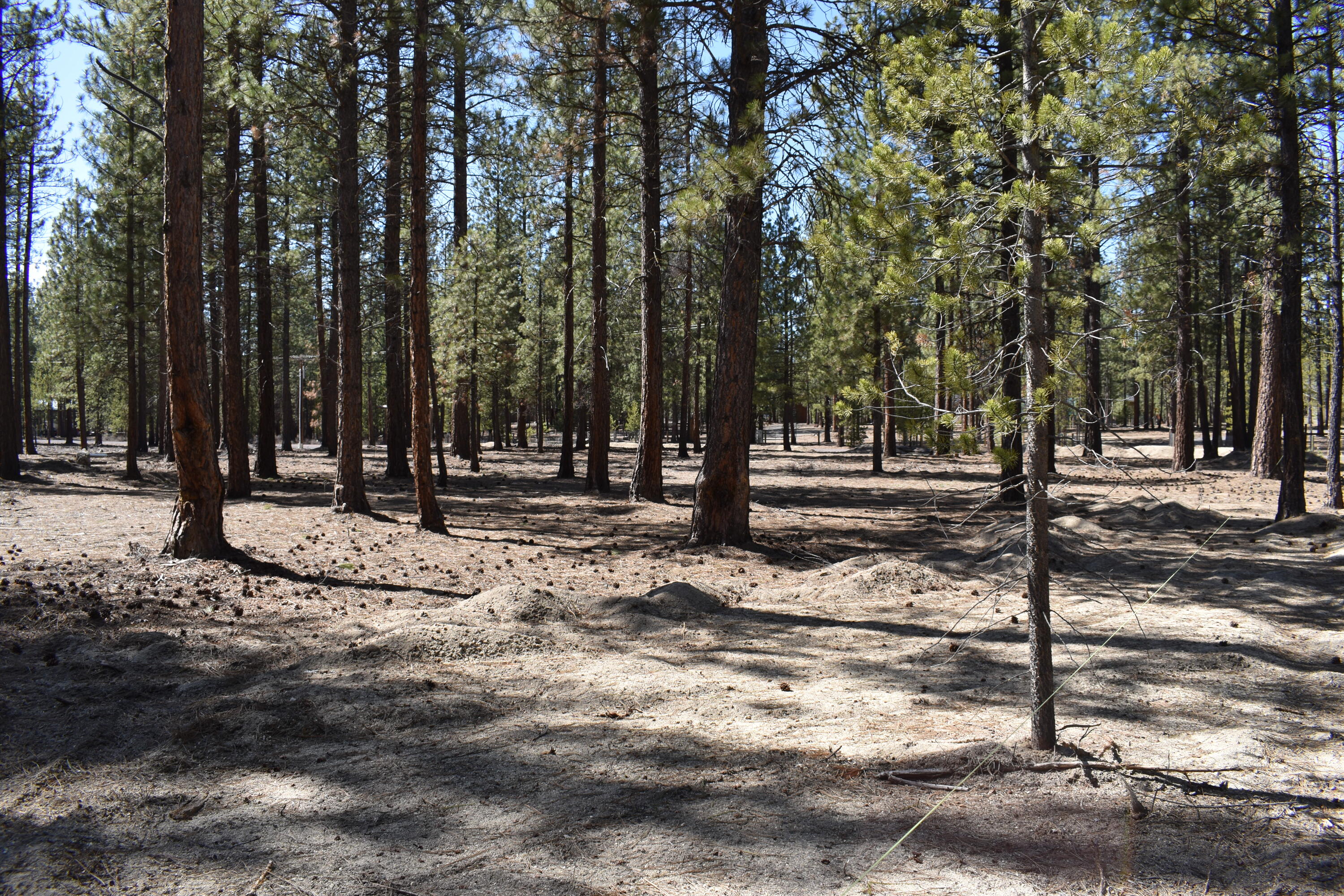 Little River Ranch - Land