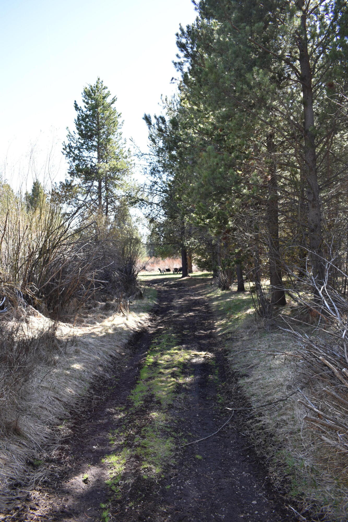 Little River Ranch - Land