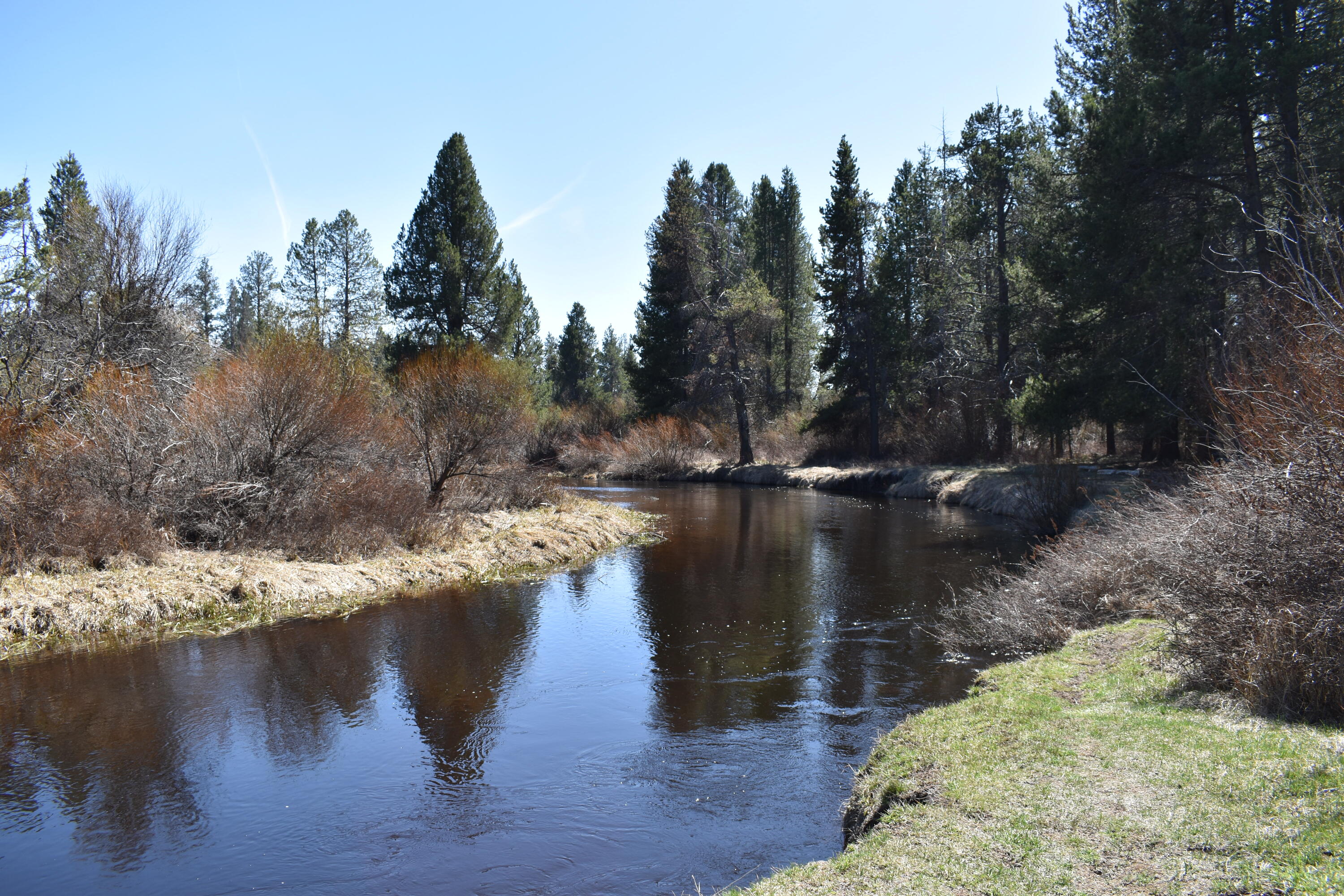 Little River Ranch - Land