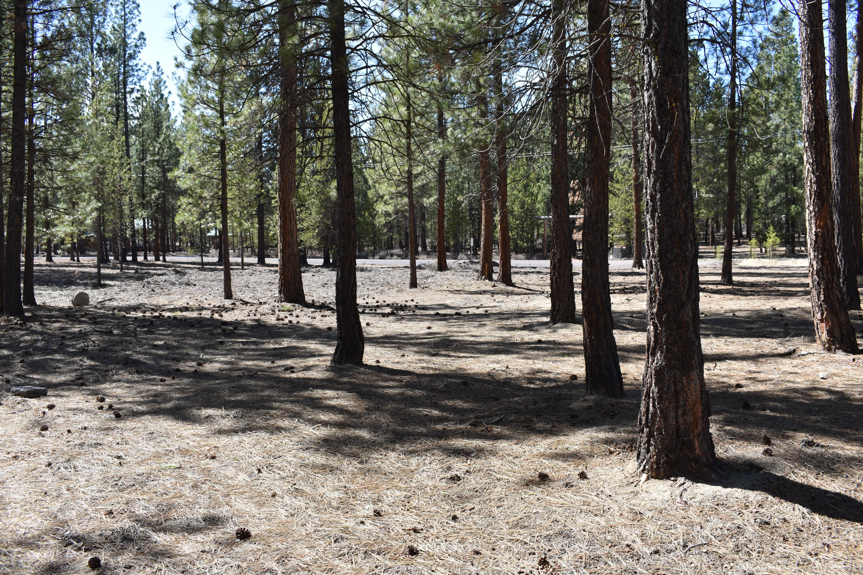 Little River Ranch - Land